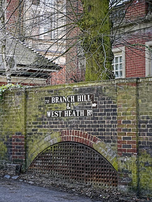The image shows a brick archway set into a moss-covered brick wall, with a black, metal grate covering what appears to be an underground passage or vent beneath the arch. Above the arch, there is a weathered sign with white lettering on a black background indicating directions to 'Branch Hill' and 'West Heath Rd,' with some of the letters chipped or faded. Behind the wall, there is a tall tree with bare branches, suggesting a winter or early spring setting, and parts of residential buildings with brick and tiled roofs are visible in the background. The scene is outdoors, on a paved or tarmacked area, with moss and dirt accumulated at the base of the wall, indicating age and exposure to the elements. The image appears relevant to local areas in Hampstead and could be associated with a house removal or moving process, as captured by Movers Hampstead, reflecting the urban environment involved in furniture transport or home relocation activities.