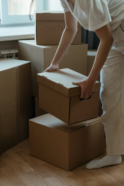 A professional removal team member from Movers Hampstead is inside a bright, spacious room with wooden flooring and large arched windows allowing natural light to fill the space. The team member, with